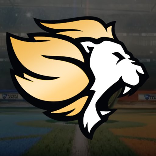 Selfless Gaming Profile