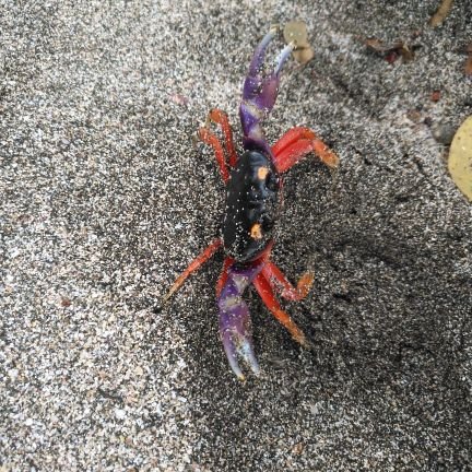 AnaTica25's profile picture. 