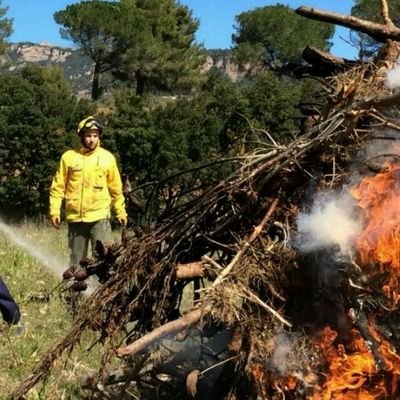 perezreina's profile picture. 💻 🏞️ 🚜🔥