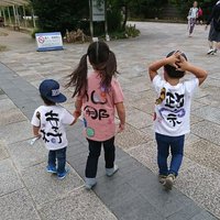 みきちん (@mikicoconuts) 's Twitter Profile