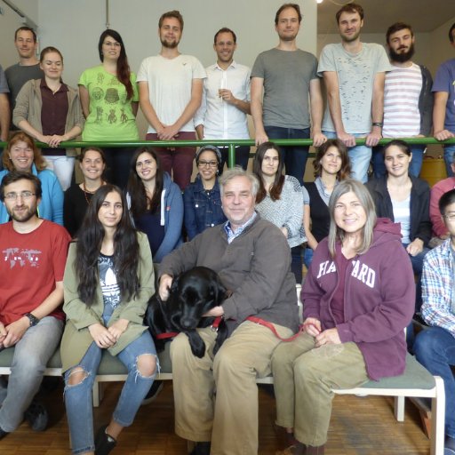 Lab for evolutionary biology at the University of Constance, studying the genesis of genomic, developmental and morphological diversity