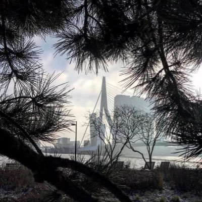 Stadsmarshall Zoetermeer (regisseur veiligheid & leefbaarheid)-werkgebied wijken Buytenwegh & Meerzicht
