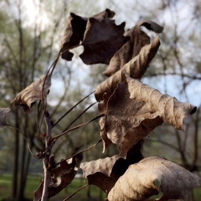 ak28ak28's profile picture. 