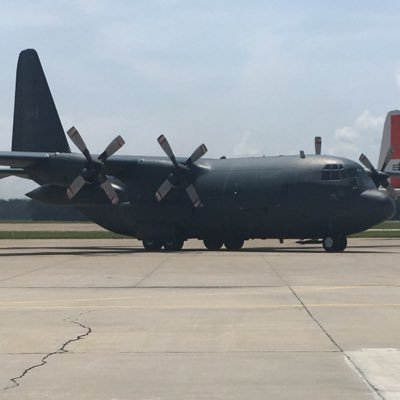 jesseth31983579's profile picture. 