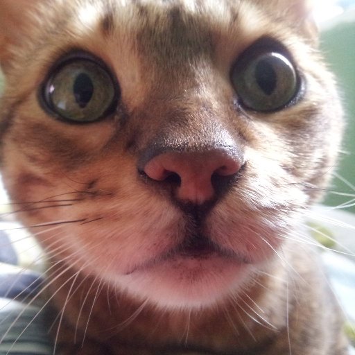 clk356's profile picture.