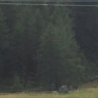 yamaait's profile picture. 