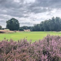 Ipswich Golf Club - @PurdisHeathGolf Twitter Profile Photo