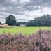 Ipswich Golf Club (@purdisheathgolf) Twitter profile photo Ipswich Golf Club (@purdisheathgolf) Twitter profile photo