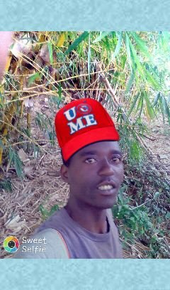 Ras Dennoh Reggaeman Profile