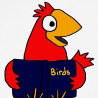 North Creek Library (@ncecardslibrary) 's Twitter Profile