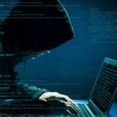 werkea2's profile picture. 