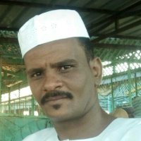 الصادق ابوعيدة (@seeedk1) 's Twitter Profile