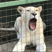 heather smith (@scotsheather76) 's Twitter Profile