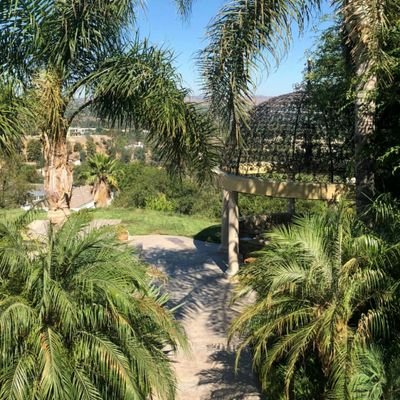 Musty1355's profile picture. 