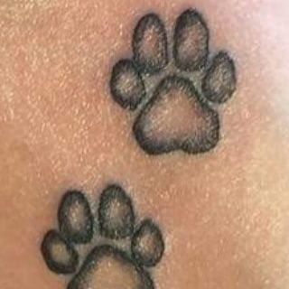 nienkedevries19's profile picture. Live, love, laugh