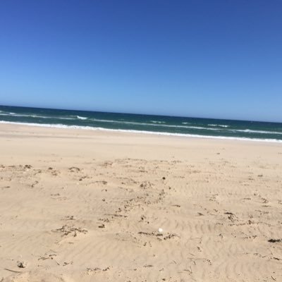 oltrka's profile picture. 