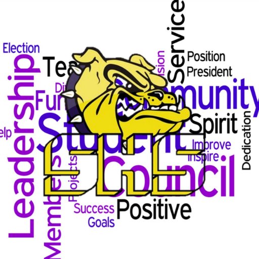 Student Council seeks to:
 - Coordinate Student Activities
 - Develop good citizenship
 - Encourage participation in campus life
 - Encourage service leadership