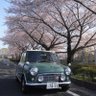 Savage40176134's profile picture. miniに乗っています♪( ´▽｀)    前はバイク乗っていました✌️