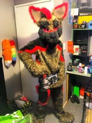 RektShep's profile picture. A kinky lewd German shepherd who is a Soft Dom top, but always down for a good snuggle with every fur and pup 25 yo