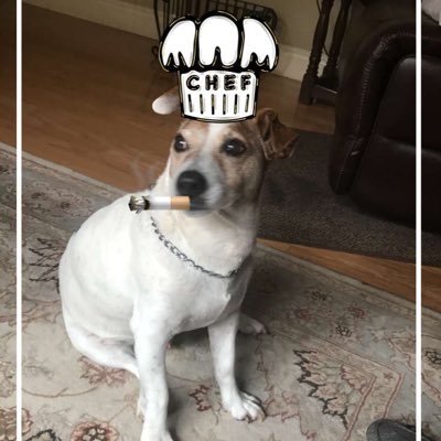 Irishhunter722's profile picture. https://t.co/PPQPC6Vt5h