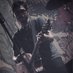 Putra Pamungkas (@putrapmgks) Twitter profile photo Putra Pamungkas (@putrapmgks) Twitter profile photo