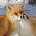 Cheng-Ren🦊🐺 (@chengren21) Twitter profile photo Cheng-Ren🦊🐺 (@chengren21) Twitter profile photo