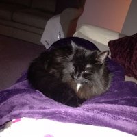 Stranger Angela (@strange33066418) 's Twitter Profile