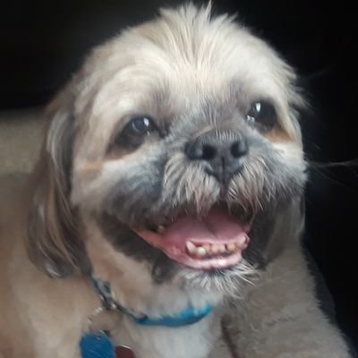 EsterOlefin's profile picture. 