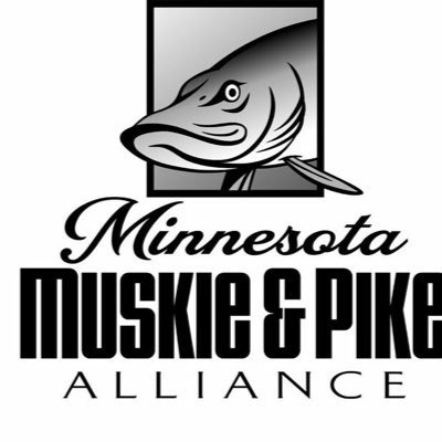 fishing Muskellunge Musky Northern Pike Science News Clean Water Politics Water outdoors Muskies