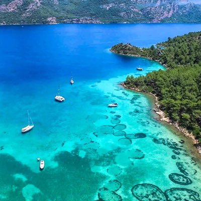 selimiyedebidk1's profile picture. Selimiye’de kendi halinde bir esnaf