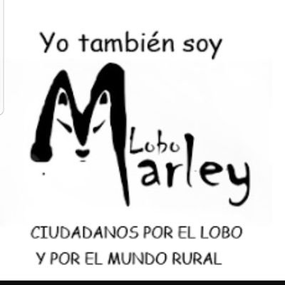 500nas's profile picture. Mi vida está en una sonrisa