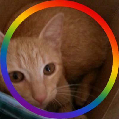 Sparkfire322's profile picture. Bi, D&D nerd, cat slave, maybe a lizard, definitely an idiot 🐈

kokichi did nothing wrong