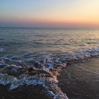 feelsum's profile picture. 🌺