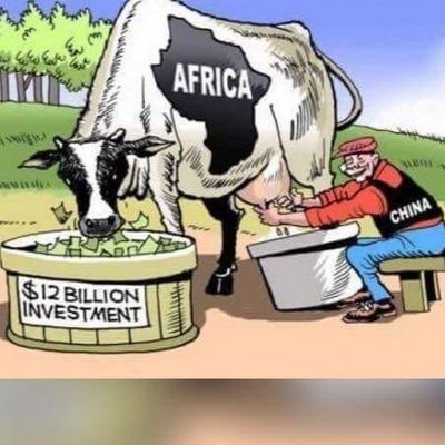 FaraiMuradzi's profile picture. 