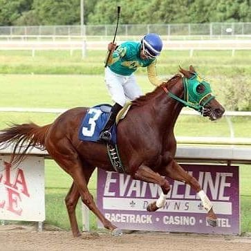 born October 30,1994
single
ride horses for a living
professional jockey 🏇
graduate class of 2013 @tomball high school