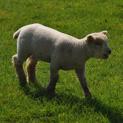 Eastbourne Downland Group Downlandgroup Twitter