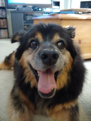 OneVoiceLisa3's profile picture. 