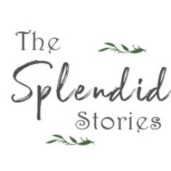 The Splendid Stories