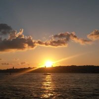 ester2205 (@ester2230023738) 's Twitter Profile