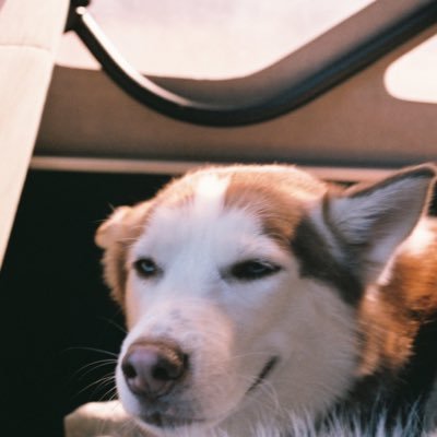 goodcontent420's profile picture. #goodcontent420          dm for features