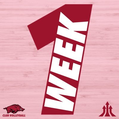 The official Twitter account for the University of Arkansas Women's Club Volleyball program in Fayetteville, AR! #RazorbackWCVB 🐗🏐