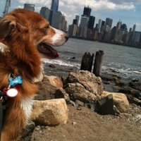 corry (@corry342) 's Twitter Profile
