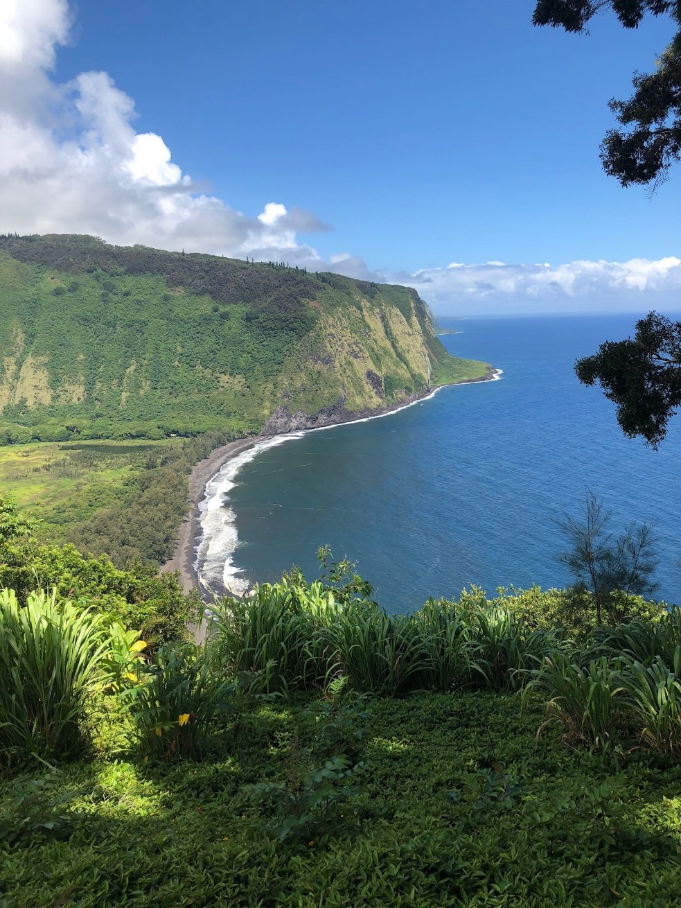 moore_alexia's profile picture. 