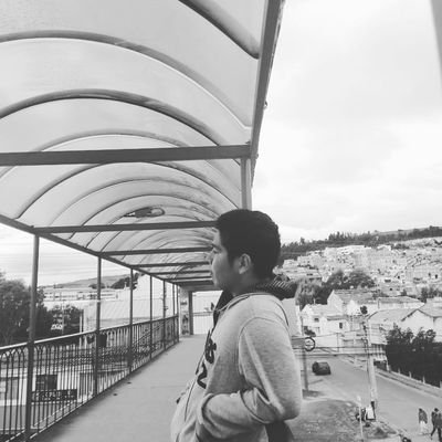 BrayanLadino13's profile picture. 