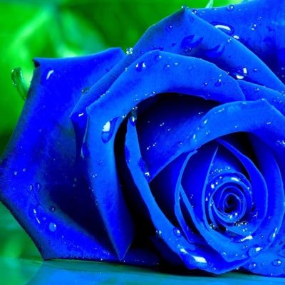 9cDF05t1wEVGoEM's profile picture. 