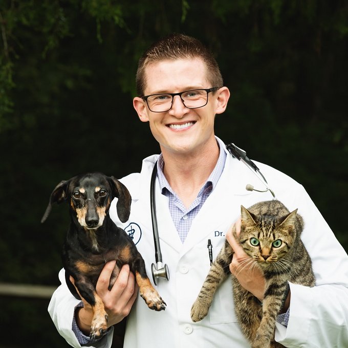 petdocsherlock's profile picture. My name is Dr. Holmes and I am dedicated to pets and their pet parents! I hope to be a source of information to keep pets happy and healthy.