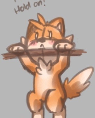 iMimiFoxさんのプロフィール画像