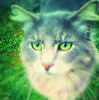 angelaboeckman's profile picture. Tomorrow belongs to those who can hear it coming.          D. Bowie