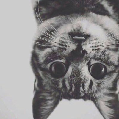 RIDHMIKA2's profile picture. 