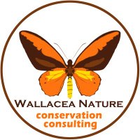 Wallacea Nature(@wallacea_nature) 's Twitter Profile Photo
